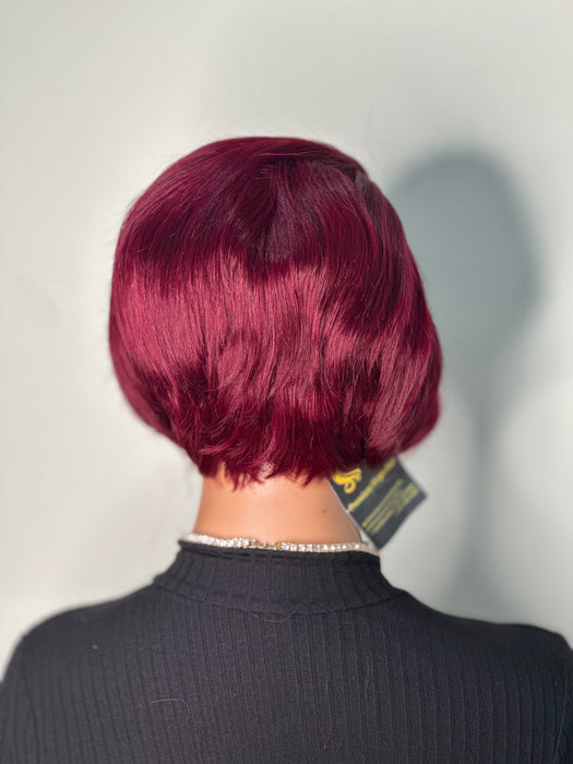 Burgundy Pixie Bob